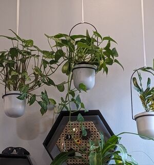 Meet your Posher, Bettina